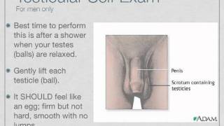 Breast Self Exam and Testicular Self Exam Teaching Project 2011