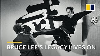 詠春拳 WING CHUN APPLICATIONS