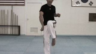 Taekwondo Speed Kicking Tutorial | How To Kick Faster | TaekwonWoo