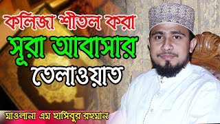 কলিজা শীতল করা তেলাওয়াত। (সূরা আবাসা)- M Hasibur Rahman