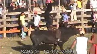 El Diablito - Montador de Toros Chontaleño