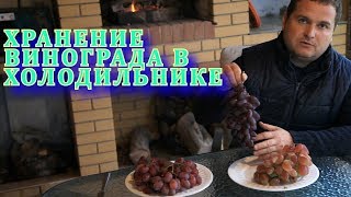 Хранение винограда в холодильнике ( Storage of grapes in the refrigerator)
