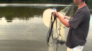 Catching Shad for Bait