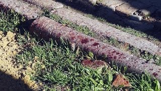 ЖЕСТОКОЕ УБИЙСТВО