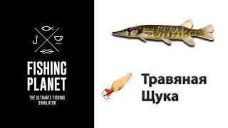 Как ловить Травяную Щуку Fishing Planet (блесна) | Фишинг Пленет Травяная Щука (Река Мадвотер)
