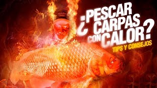 TIPS PARA PESCAR CARPAS EN VERANO // UNDERCARP