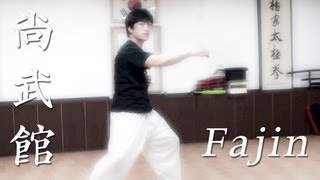 Chen Taichi Fajin basics explained