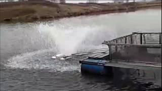 Очередное зарыбление форелью