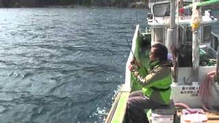 山本太郎船かかり釣り【大チヌ連発】後編／2013