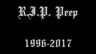 Lil Peep - Haunt U [1 Hour Loop] #EnergyDoesntDie