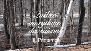 Québec au rythme des saisons, III.  Printemps