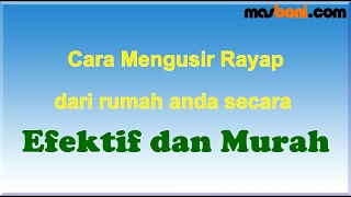 Cara mudah membasmi rayap