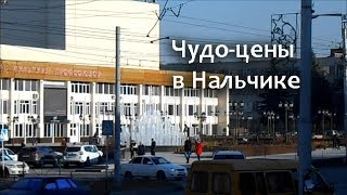 Нальчик: удивительное бистро "Минутка", грустные обезьяны и непобедимые яки