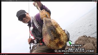 湯川マサタカ～初夏のでかアオリはロングロッドのスラックジャークで決め!!