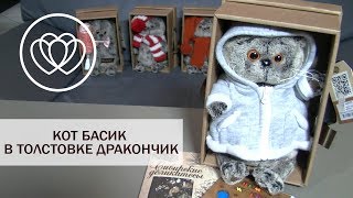 Кот Басик в толстовке Дракончик
