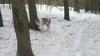 ‼️ДОБРОЕ УТРО ‼️