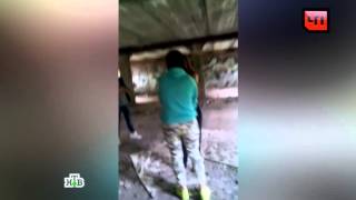 Шокирующий случай. В Подмосковье подростки на камеру раздели и пытали школьницу