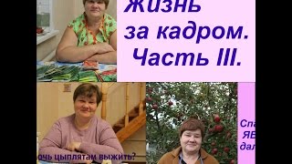 Жизнь за кадром. Часть III.
