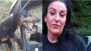 Doberman Pinscher Vlog Brooke Houts Response to Animal abuse caught on camera