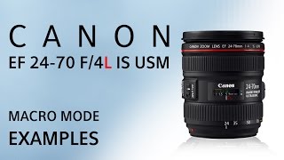 Canon 24-70 F4L IS USM - Macro mode examples