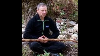 Императорский цигун.Работа с энергетическим двойником.