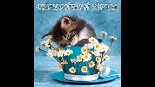 СПОКОЙНОЙ НОЧИ, ПРИЯТНЫХ СНОВ. ПОЖЕЛАНИЯ СПОКОЙНОЙ НОЧИ