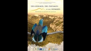 Des oiseaux et des hommes - Projet LIFE des Alpilles - 30mn - Janvier 2018