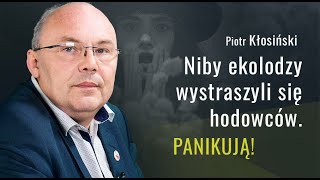 Lider kynologów: Petycja w obronie zwierząt to manipulacja i żerowanie na ludzkiej niewiedzy