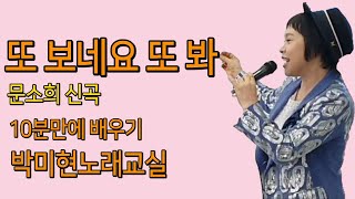 또 보네요 또 봐 – 문소희 신곡(가사) / 10분만에배우기 / 박미현 노래교실