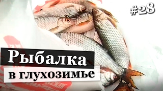 Зимняя рыбалка в глухозимье. Не без огорчения.