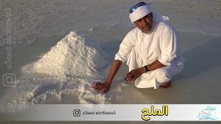 سعيد المطوع - حلقة الملح - من سوالف بحر