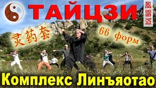 Даосский тайцзицюань. Комплекс Линъяотао (灵药套). 66 форм