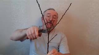 Классика обрезки на примерах