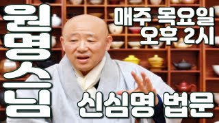 [위례천막결사] 봉은사 주지 원명스님의 신심명 법문# 매주 목요일 오후 2시
