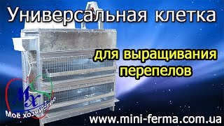 Универсальная клетка "два в одном" для перепелов.