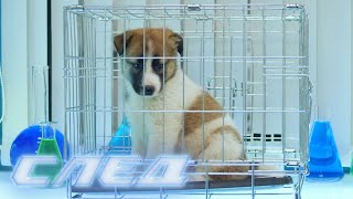 След. 2337 серия. Холодное солнце