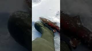 пули на ленка мормышки на ленка т 89621222022