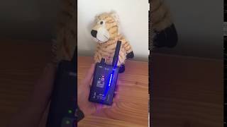 Детектор жучков, антижучок DR-42