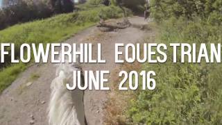 Ireland Adventure in Flowerhill, June 2016