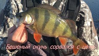 Рыбалка в Астрахани. Камызякский район. Апрель 2017. Часть 2 (щуки, окуни)