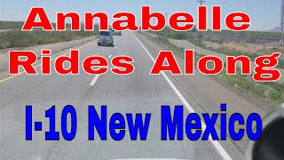 Annabelle Rides Along I-10 West New Mexico | Red Viking Trucker | RVTGear.com