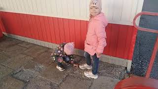 Вечерняя прогулка, гостим у бабушки#отдых#прогулка#лес#семья#дети#лайк#детский канал#Дарина#Полина#