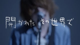 カフカ - 線香花火が落ちるとき(MV)
