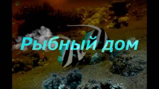 Помпа для аквариума на 100 литров