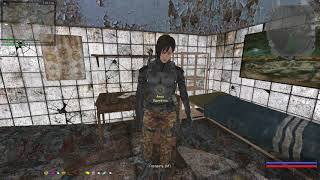 S.T.A.L.K.E.R. Сталкер Путь человека Возвращение:Припять(арт зелёная Корона,ладанка)