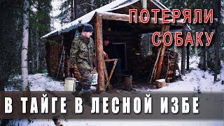 Поход в тайгу в лесную избу! ? Зима в ноябре. ❄