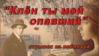 Отрывок из вебинара "Клён ты мой опавший"