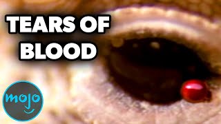 Top 10 Creepy Animal Facts That Will Keep You Up at Night