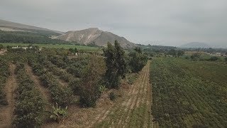 A green desert found along the coast of Peru