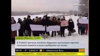 В новой Москве горы куриного помета